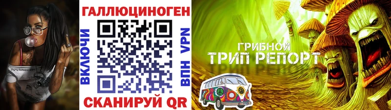 Псилоцибиновые грибы MAGIC MUSHROOMS  Купить  Амурск 