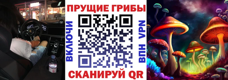 Галлюциногенные грибы GOLDEN TEACHER Амурск